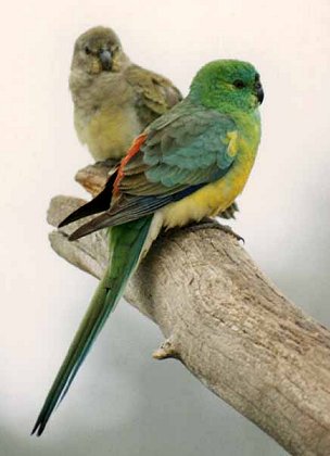 clip_image001.jpg
